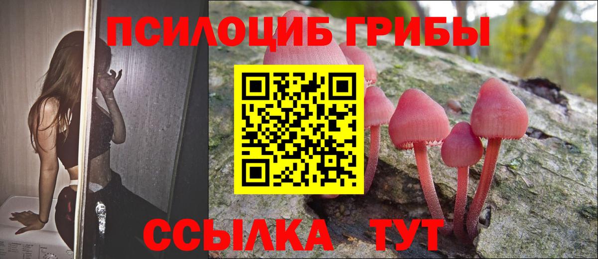 Псилоцибиновые грибы MAGIC MUSHROOMS  Псилоцибиновые грибы ЛСД  Вход с VPN  Серов 