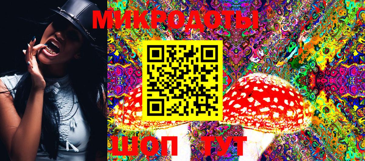 Псилоцибиновые грибы мицелий Серов